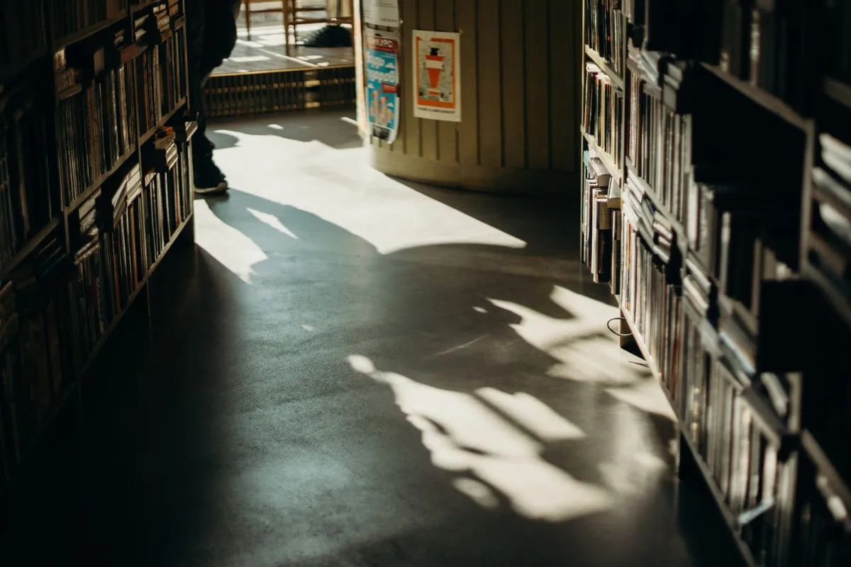 Library shelves in low light with hard shadows.
