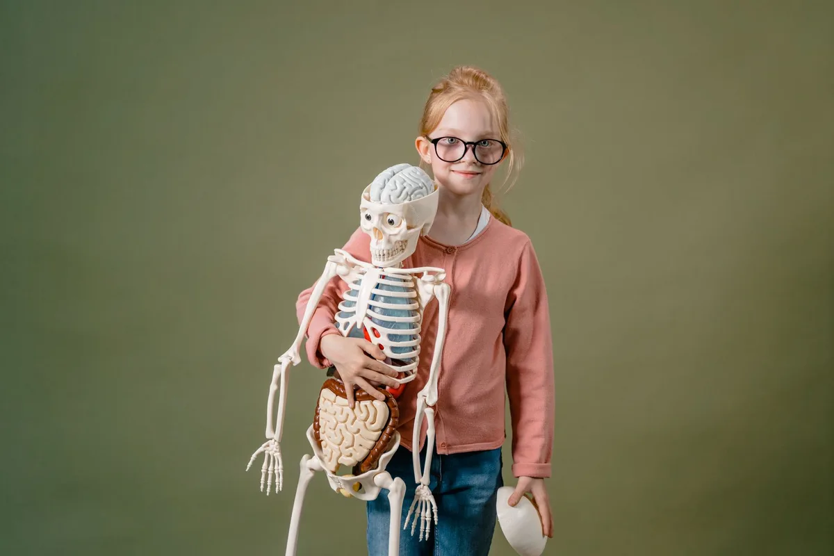 An anatomical diagram in low light against a dark ground.